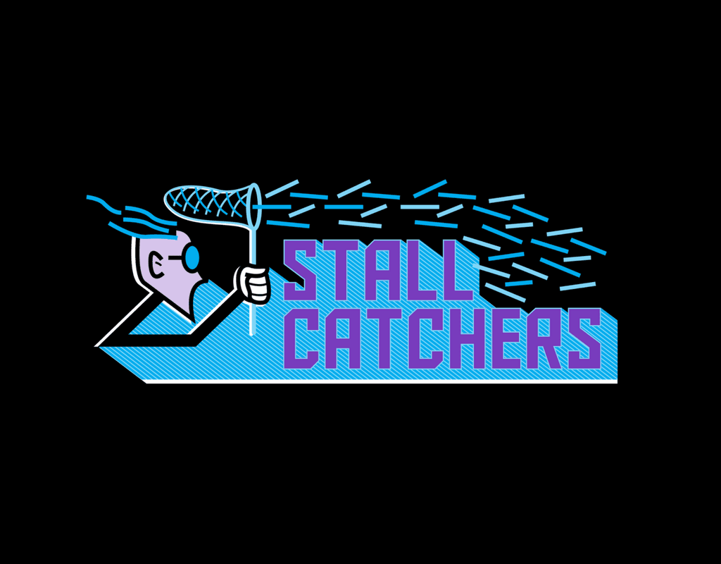 Stall Catchers